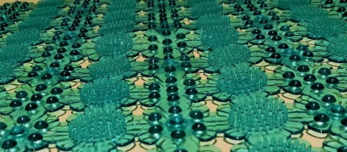 mata zielona cactus2.jpg